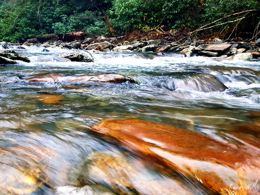 Smoky Mountain Little Pigeon River II 8.5x11 Unframed Art Photography Print