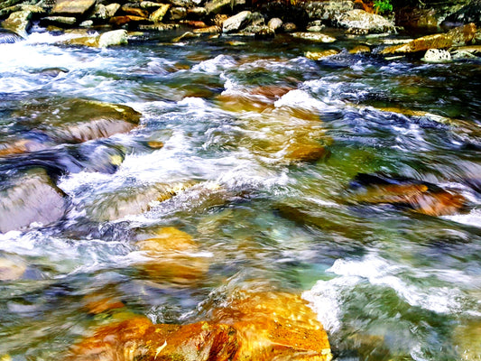 Smoky Mountain Little PigeonRiver 8.5x11 Unframed Art Photography Print