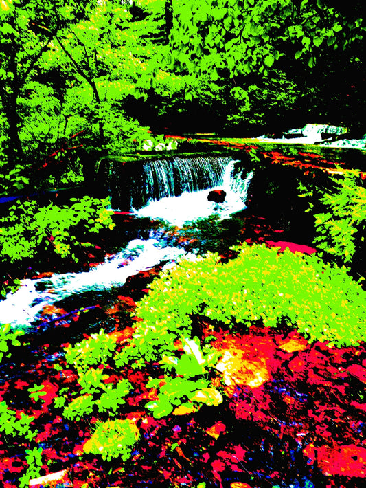 Mill Springs 8.5x11 Unframed Art Photography Print