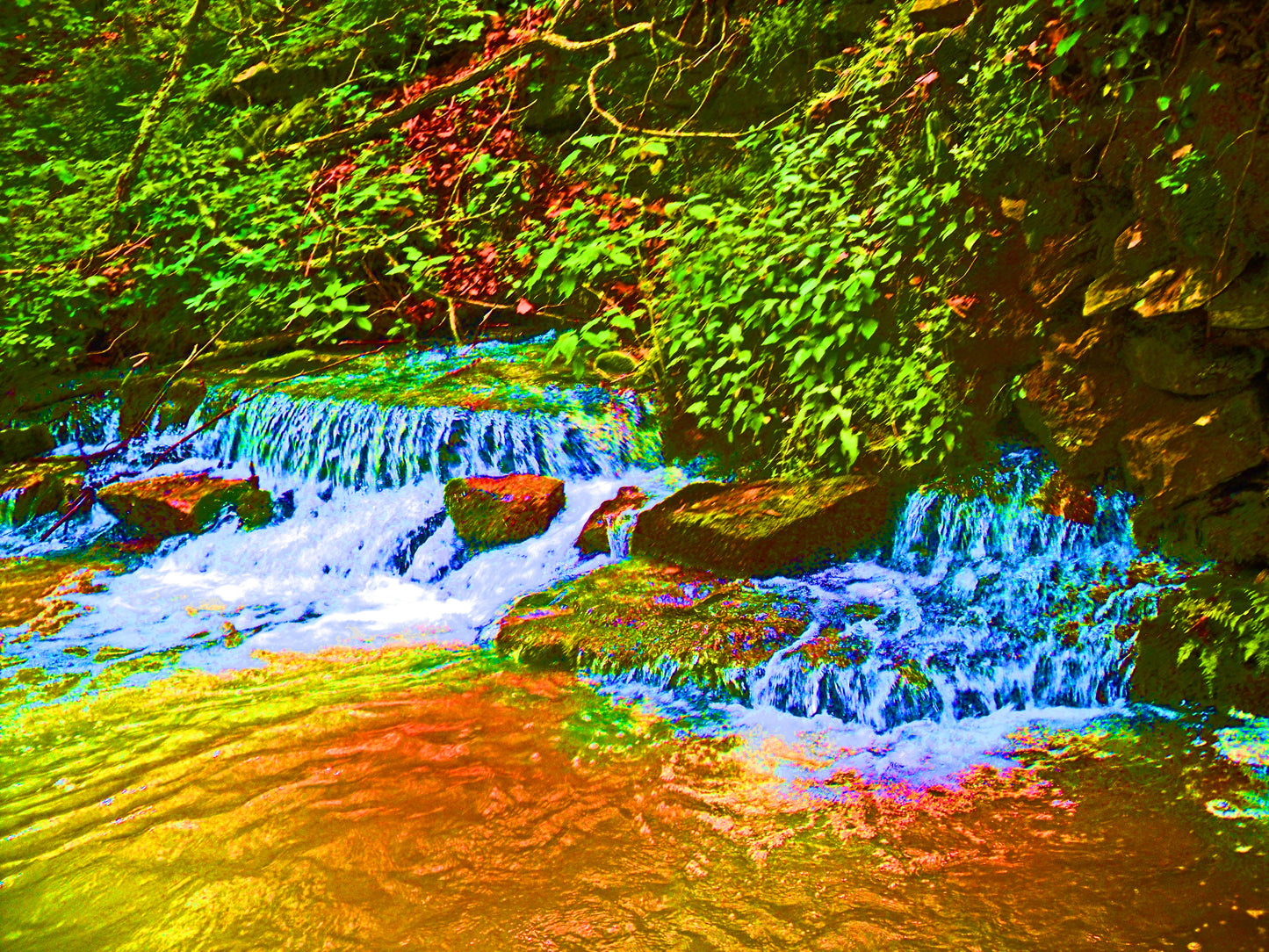 Gold Rush 8.5x11 Unframed Art Print