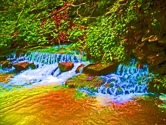 Gold Rush 8.5x11 Unframed Art Print