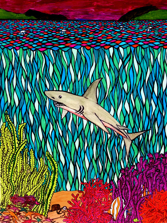 Shark Underwater 8.5x11 Unframed Art Print