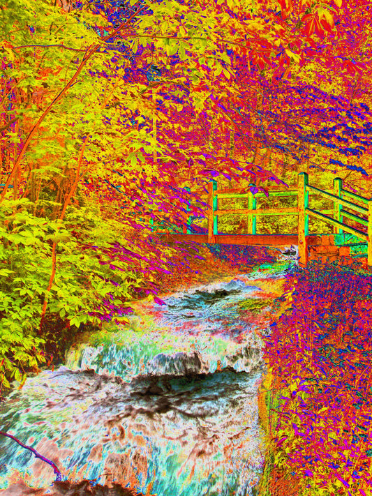Neon Bridge at 76 8.5x11 Unframed Art Photography Print